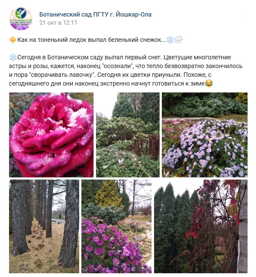 Безымянный111.jpg