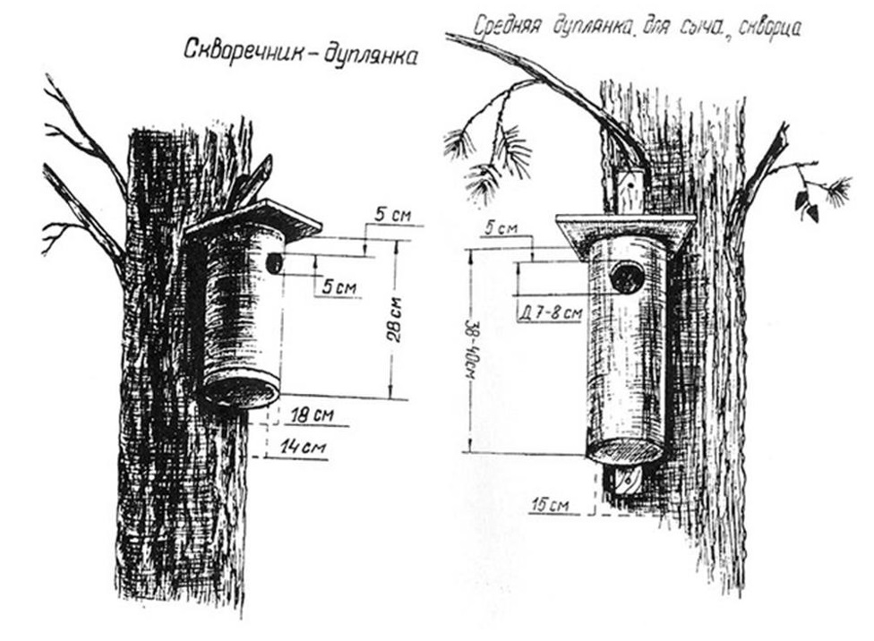 Чертеж домика для белки своими руками. Дуплянка для Скворцов Размеры. Синичник дуплянка Размеры. Дуплянка для Скворцов своими руками чертежи. Скворечник дуплянка чертеж.